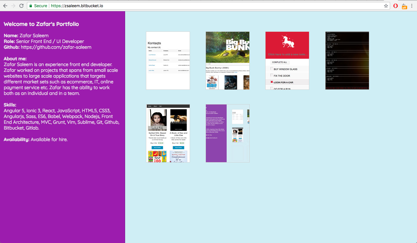 Personal Portfolio Website (https://zsaleem.bitbucket.io/)